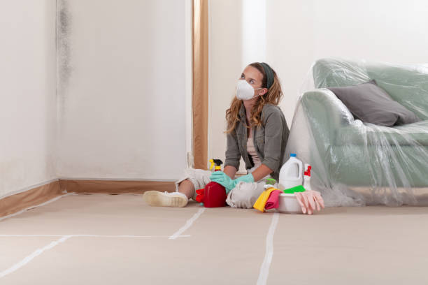 Reliable Basement Mold Removal contractor in Bellmawr, NJ by WQB Mold Removal